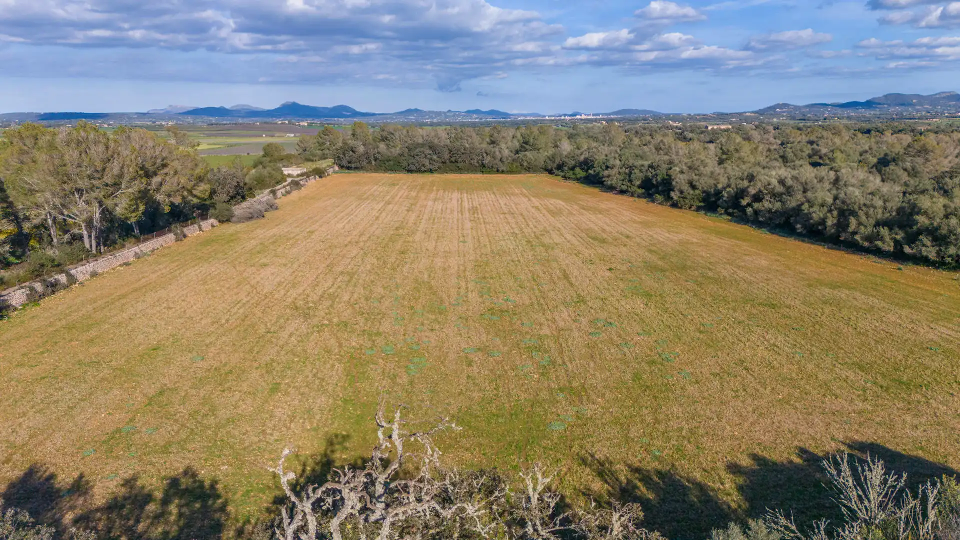 Finca rústica en venta en Vilafranca de Bonany con Terraza, Trastero y Balcón