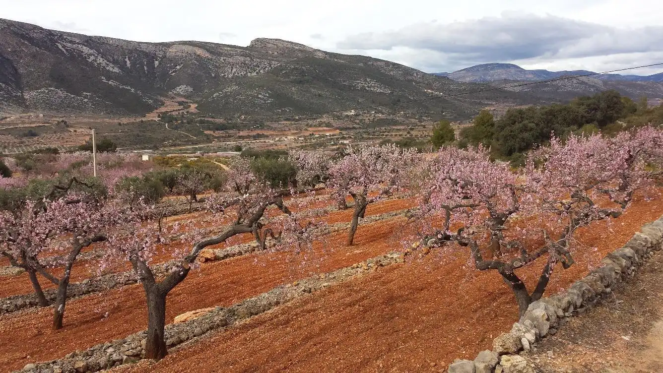 Maison rustique à vendre à Sierra Engarcerán, imagen 13