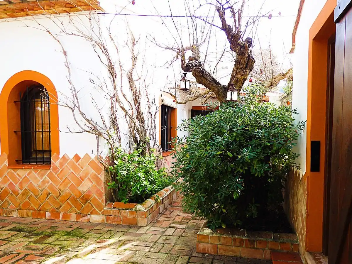 Casa rústica amb jardí en venda a Carrer Lago Aral 73, imagen 29