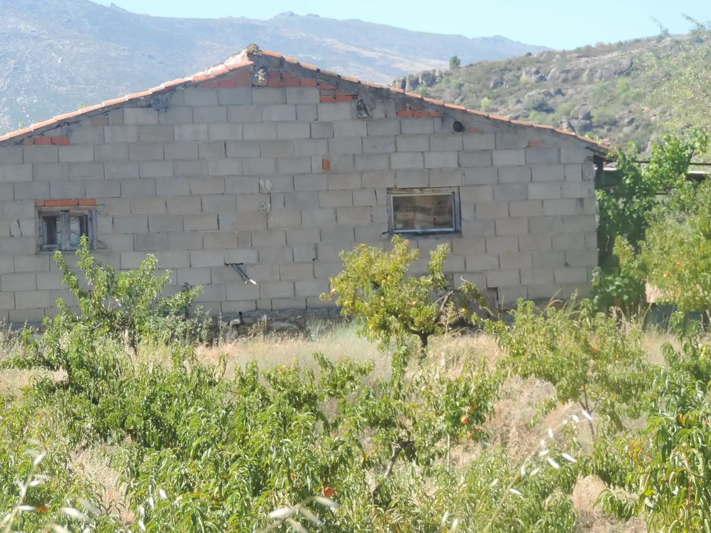 Land for sale in Burgohondo