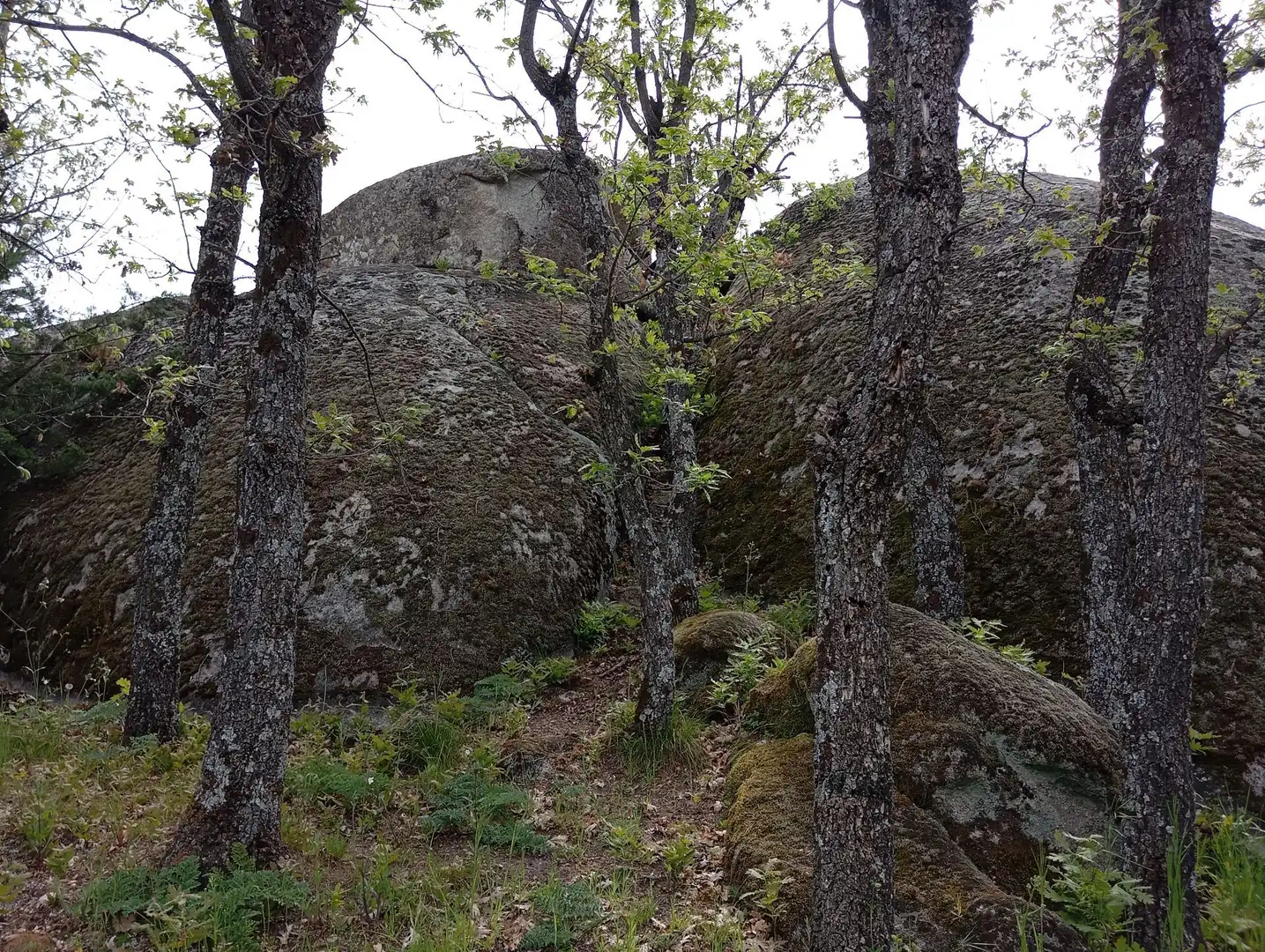 Exterior view of Houses for sale in Valdemorillo