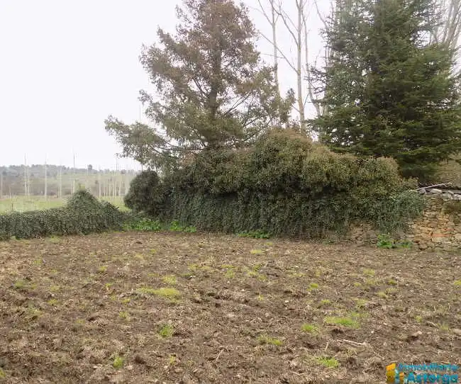 Terreni e lotti in vendita a Magaz de Cepeda