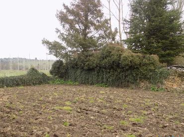 Terreno residenziale in vendita a Magaz de Cepeda