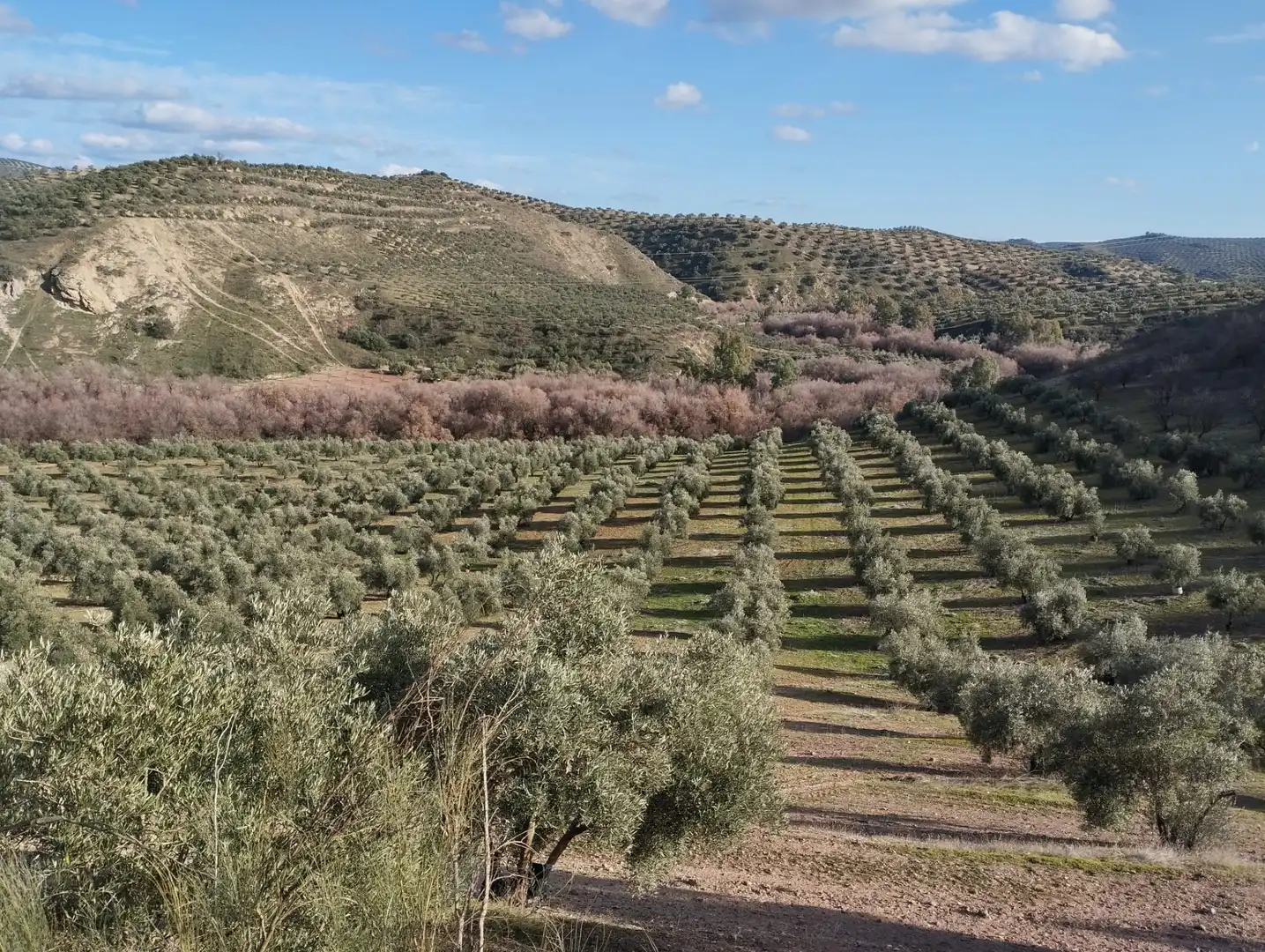 Rural land for sale in Calle Río Anzur