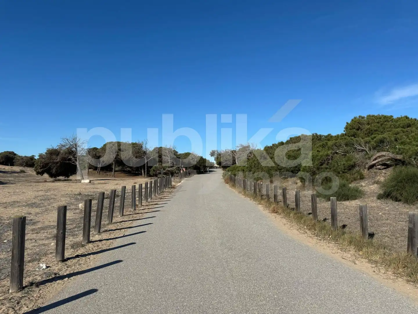 Commercial properties for sale in Guardamar del Segura  with Terrace