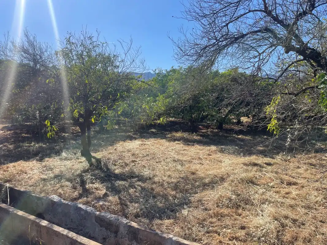 Terrain rustique à vendre à Partida Bases 254, imagen 14