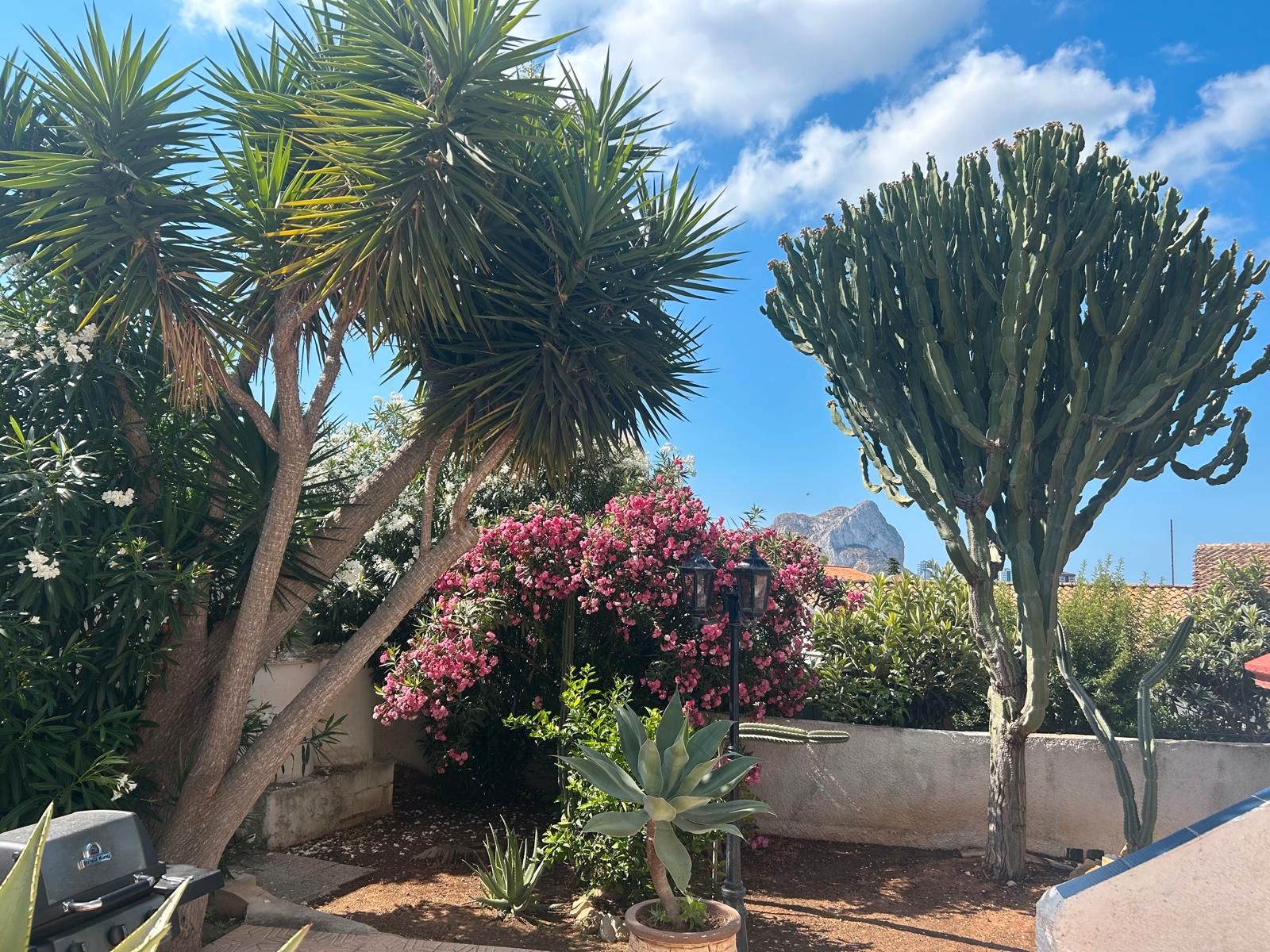 Garden of House or chalet for sale in Calpe / Calp  with Private garden, Terrace and Furnished