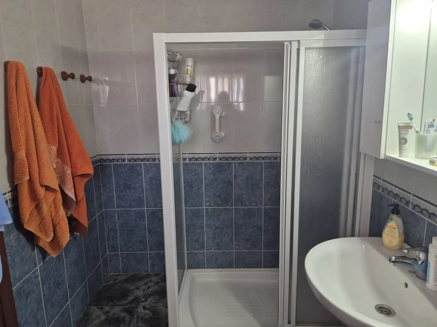 Baño de Casa o chalet en venta en Villanueva de la Serena con Amueblado