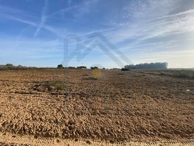 Terreno en Venta en Poligono 3 Paraje 470 La Indiana en Pedanías Norte