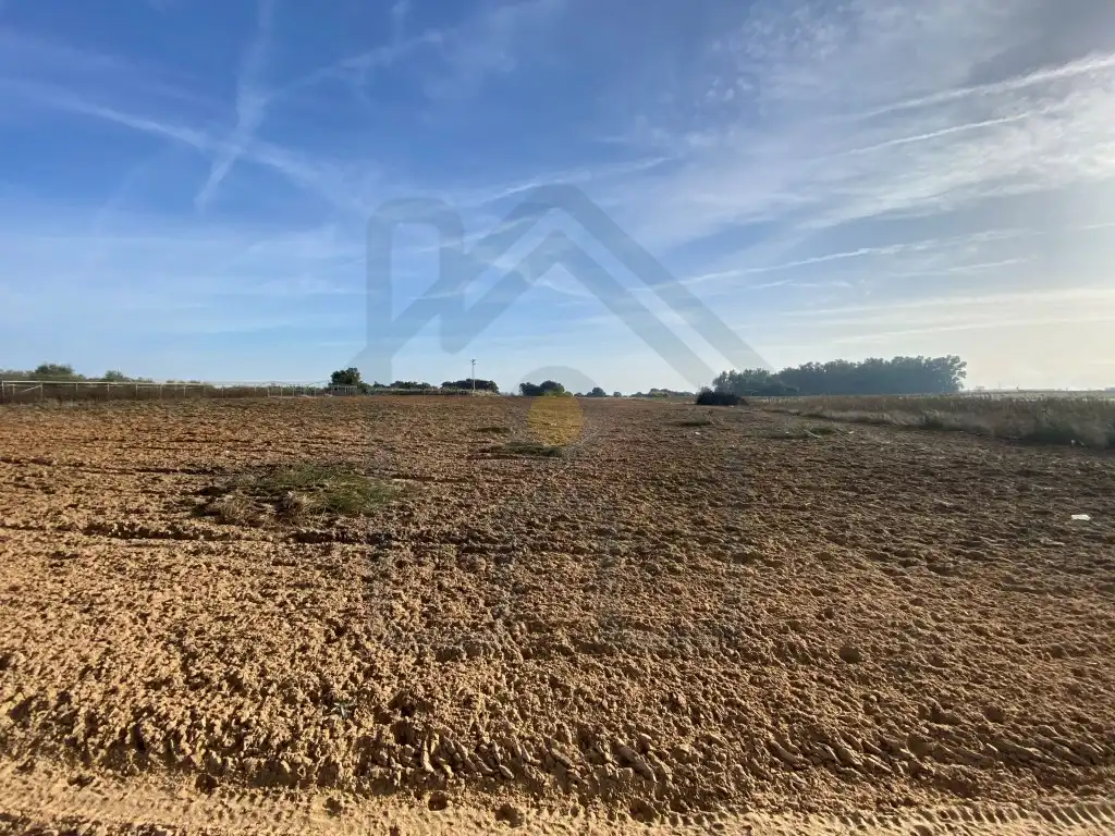 Terreni e lotti in vendita a Poligono 3 Paraje 470 La Indiana