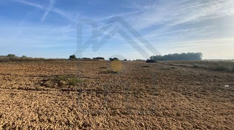 TERRENO EN LA INDIANA