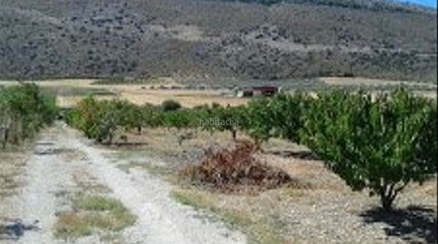 Parcela alfarnate ganga