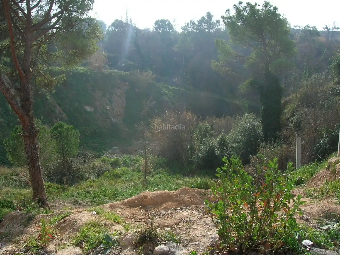 Residential land for sale in Carrer Mossèn Lluís García 8, imagen 4