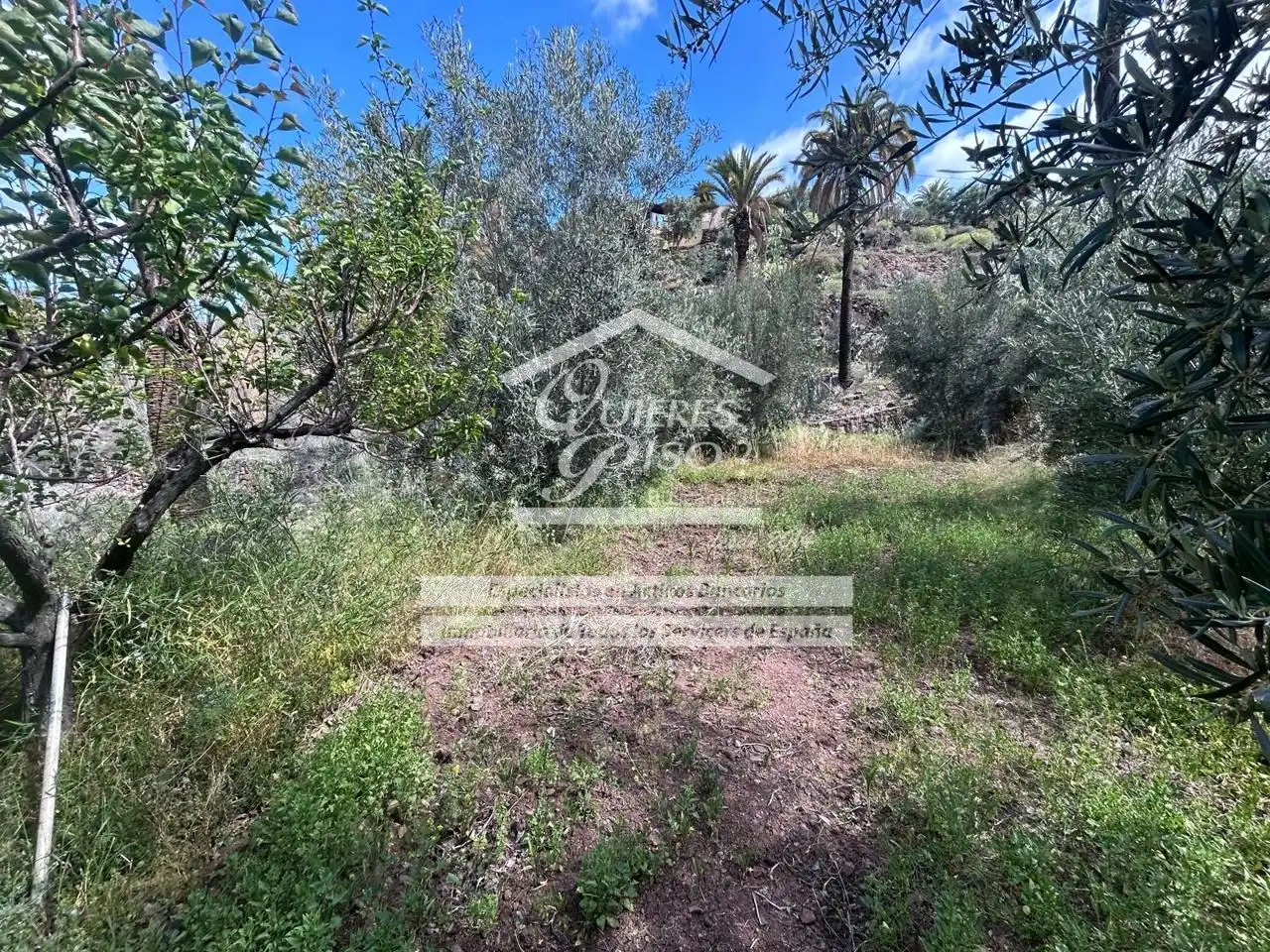 Land for sale in Santa Lucía de Tirajana