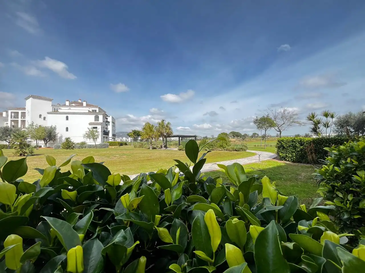 Jardín de Planta baja en venta en Murcia con Aire acondicionado, Calefacción y Jardín privado