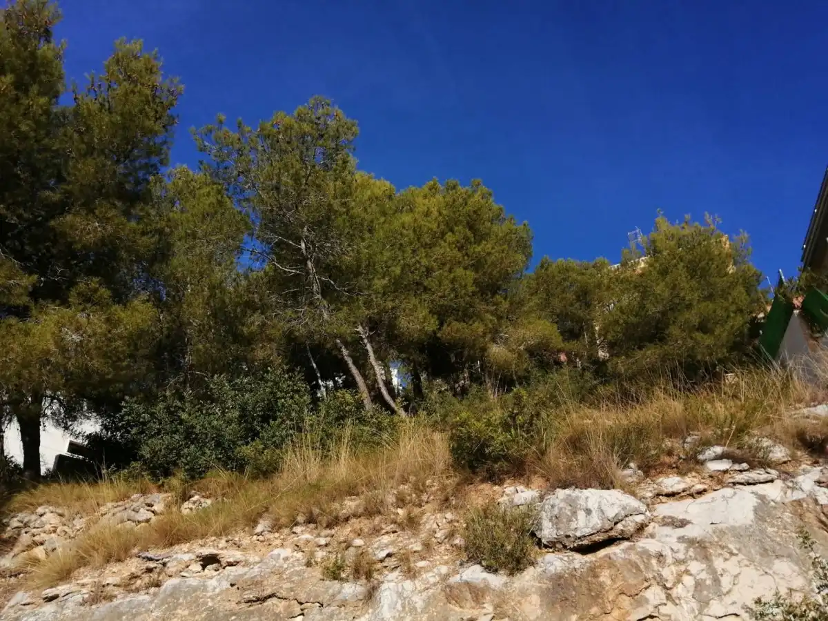 Residential land for sale in Llevantina - Montgavina - Quintmar, imagen 4