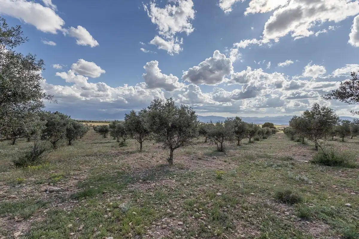 Terreni e lotti in vendita a la finca el launero guadix, imagen 36