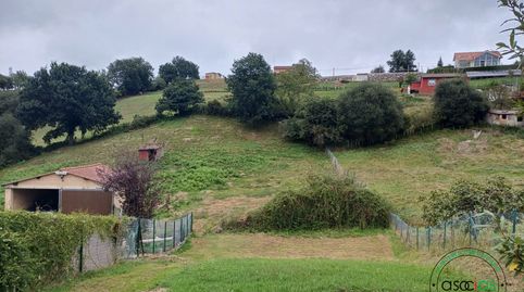 FINCA EDIFICABLE EN LLANERA. AL LADO DE ASII. PRECIOSAS VISTAS., immagine 5