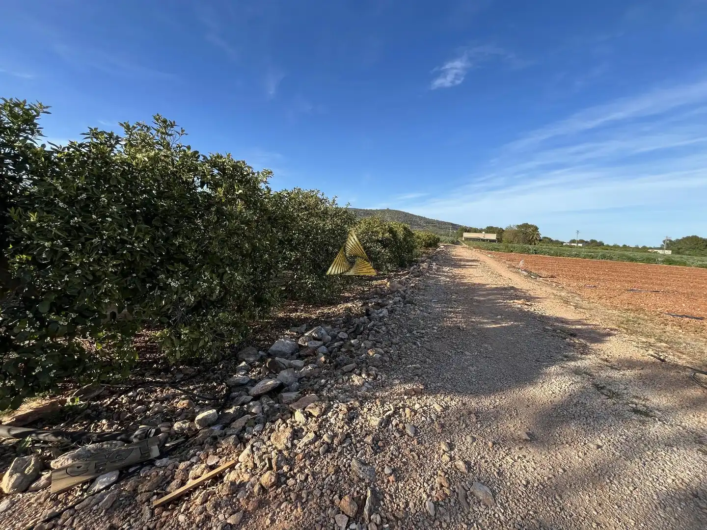 Terrenos y solares en venta en Pueblo, imagen 2