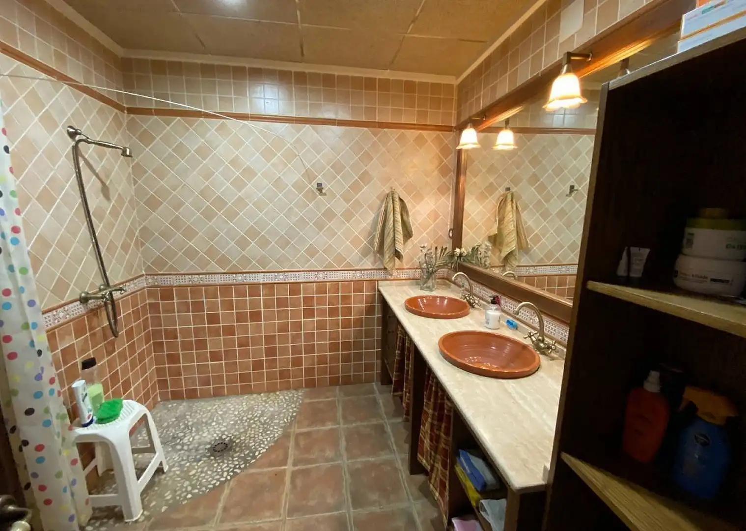 Bany de Casa o xalet en venda en Villena amb Terrassa