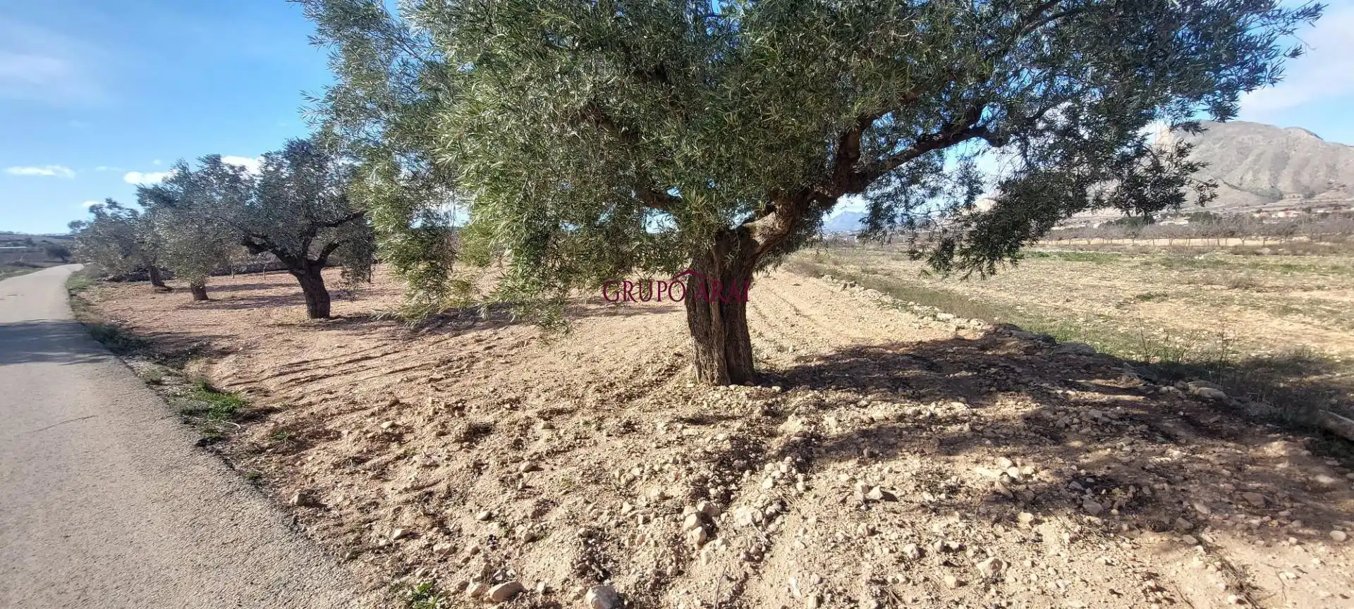 Terreno rustico in vendita a Calle Hondón de los Frailes 2, imagen 9