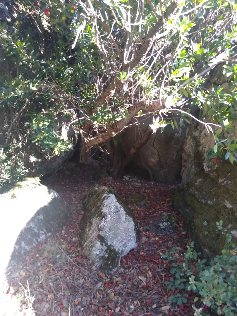 Rural land for sale in Cadalso de los Vidrios, imagen 15
