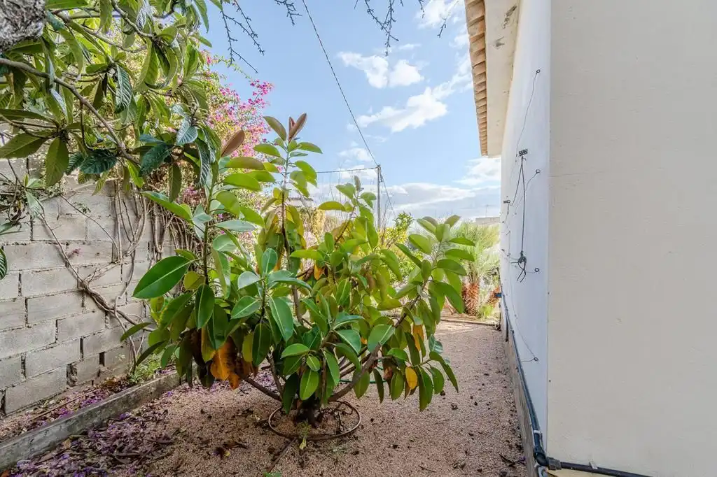 Haus mit Garten zum Verkauf in Tueda, imagen 58