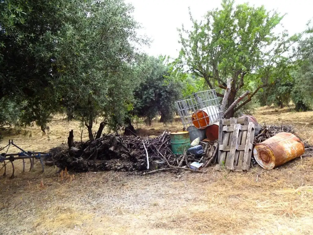 Lands and plots for sale in Pinos Genil, imagen 9