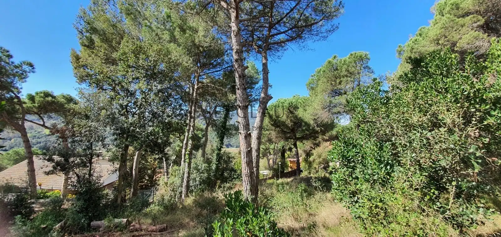 Terreny residencial en venda a Vallromanes, imagen 6