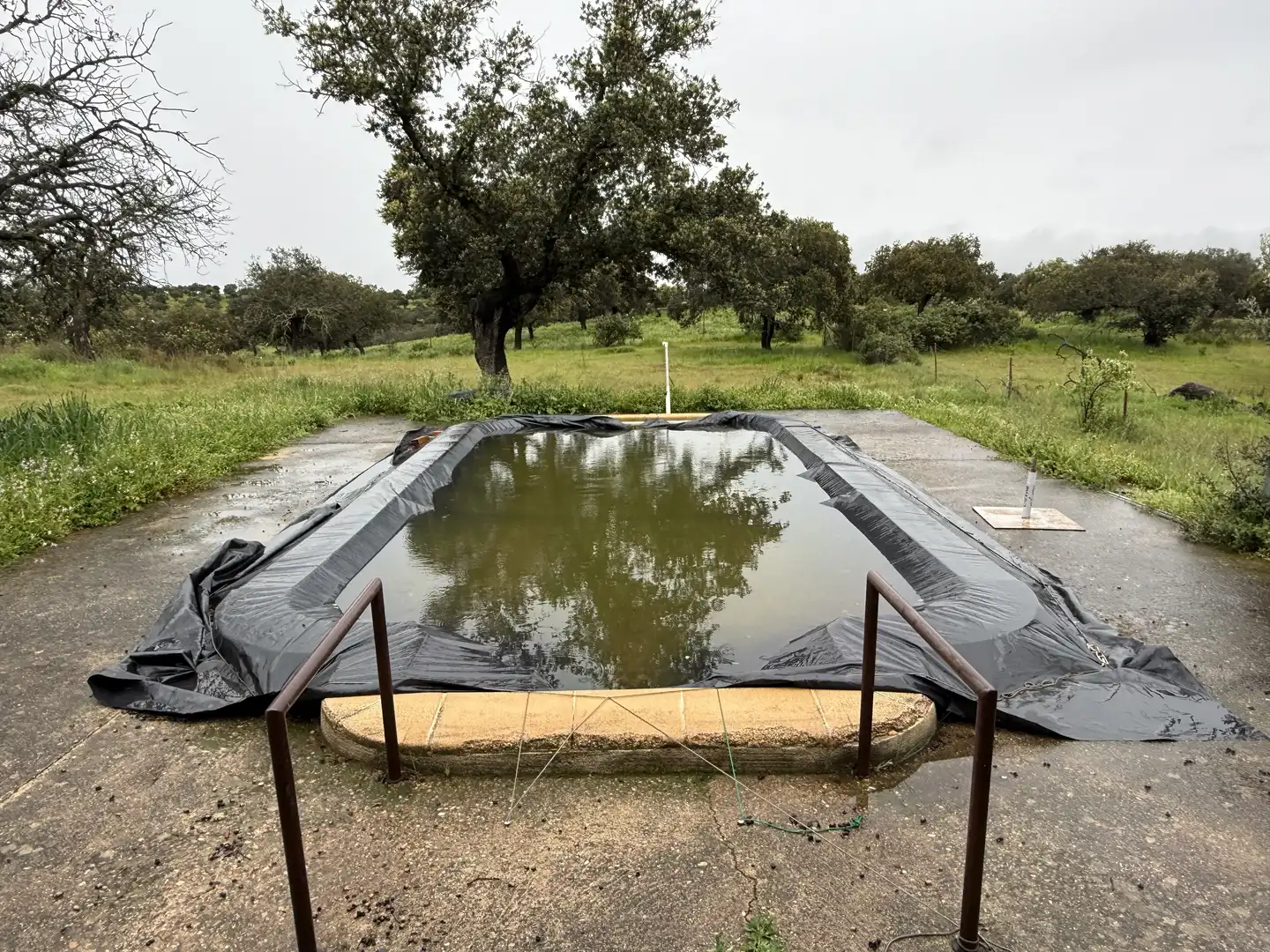 Terreny rústic en venda a Polígono POLíGONO 20 PARAJE 160 DEHESA DE ALFILEJO 25, imagen 18