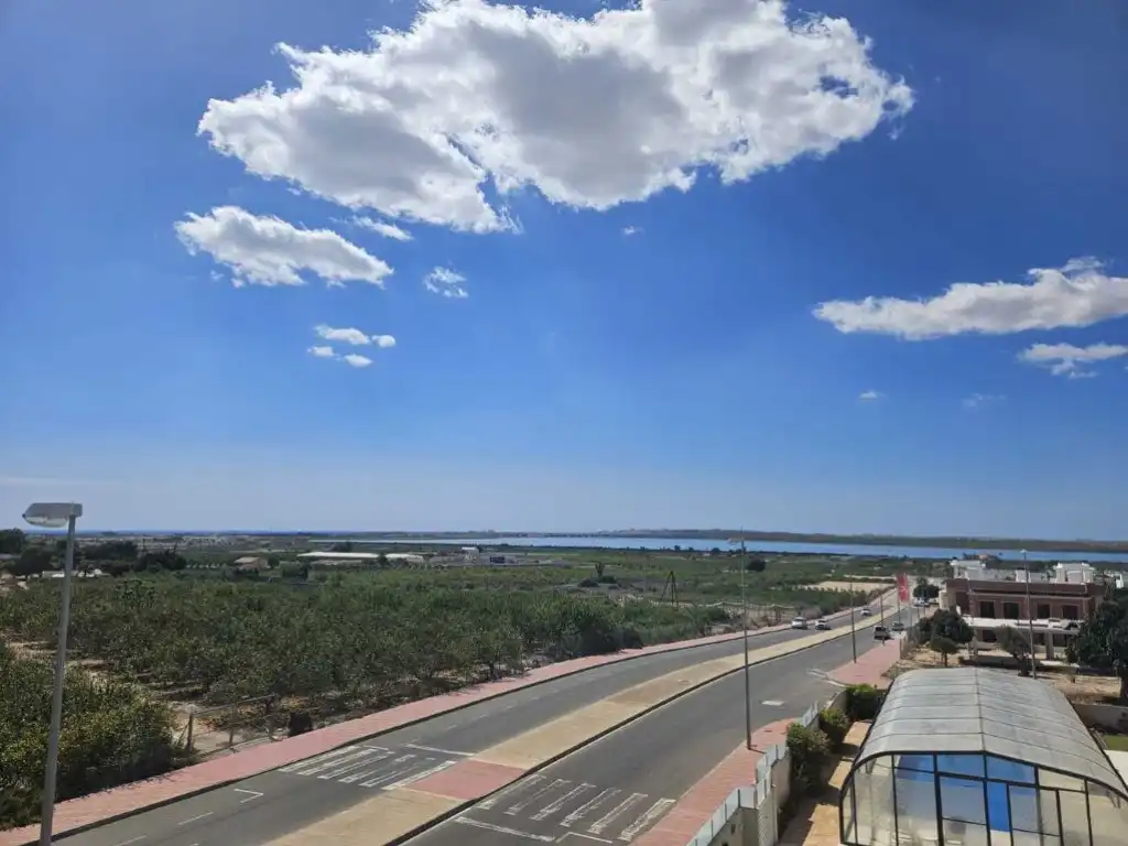 Vista exterior de Casa o xalet en venda en Rojales amb Aire condicionat, Jardí privat i Piscina