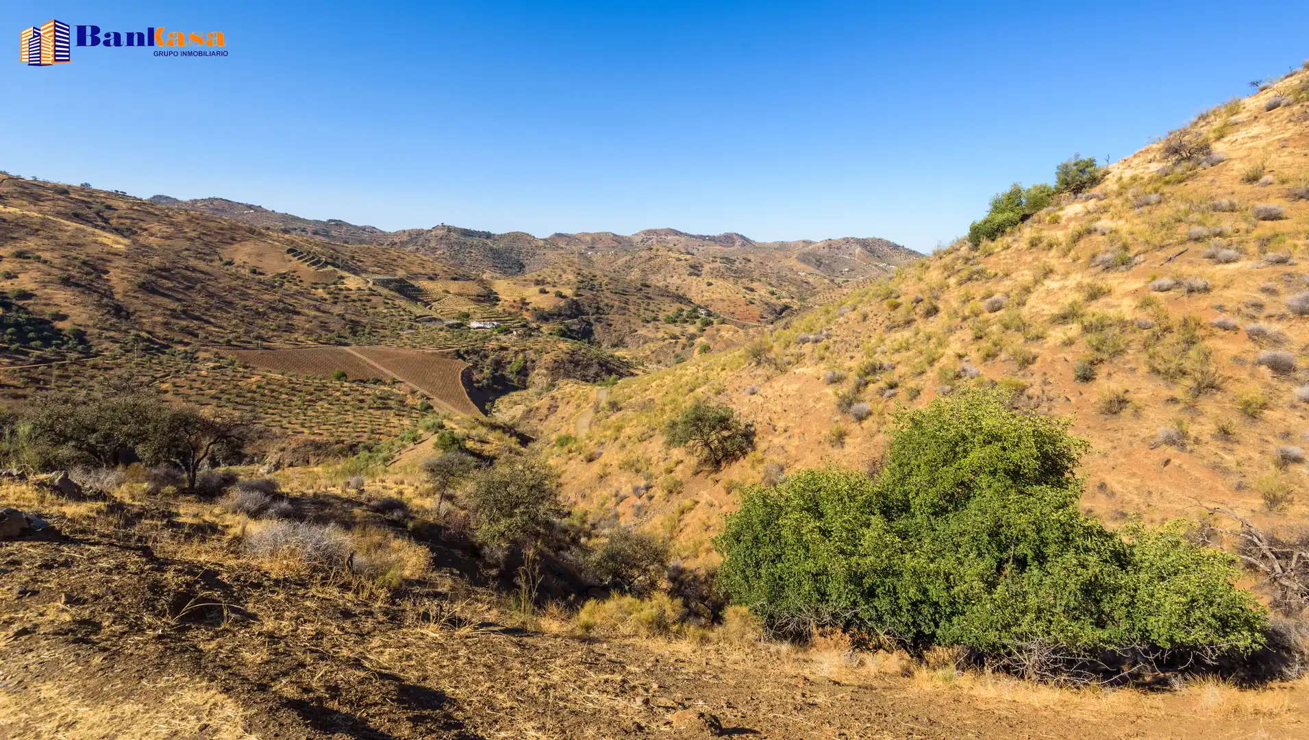 Vista exterior de Finca rústica en venta en Álora con Jardín privado y Trastero