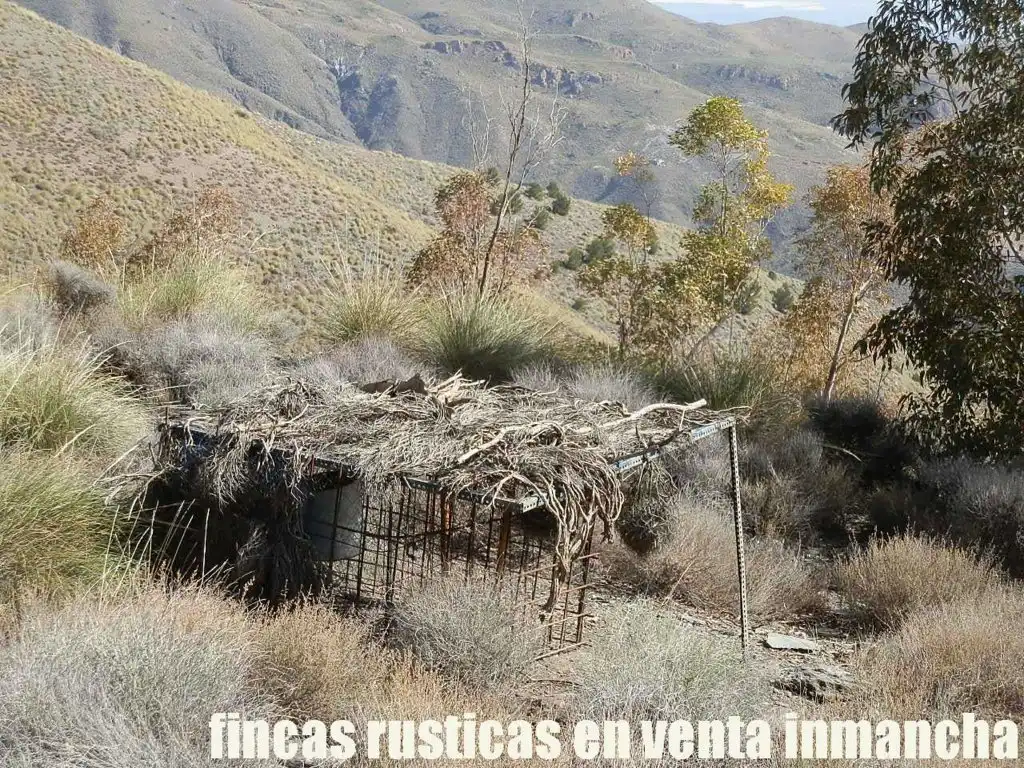 Terreny rústic en venda a Pechina, imagen 21