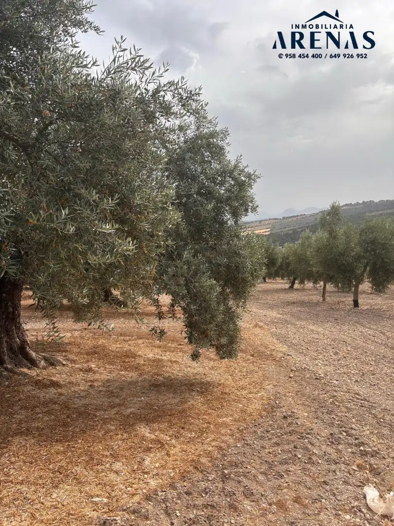 Rustikales Grundstück zum Verkauf in Calle Pozo de Íllora