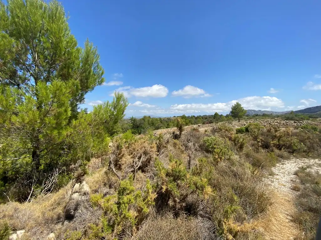 Terreny residencial en venda a Xaló, imagen 12