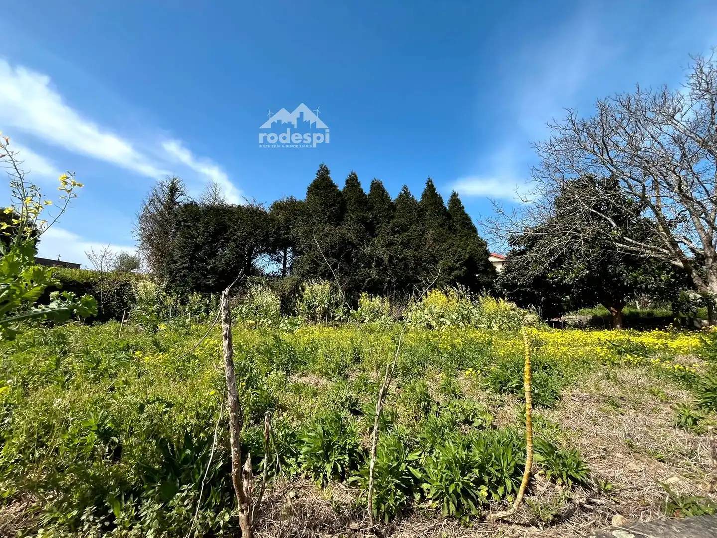 Rural land for sale in Arbo, imagen 5