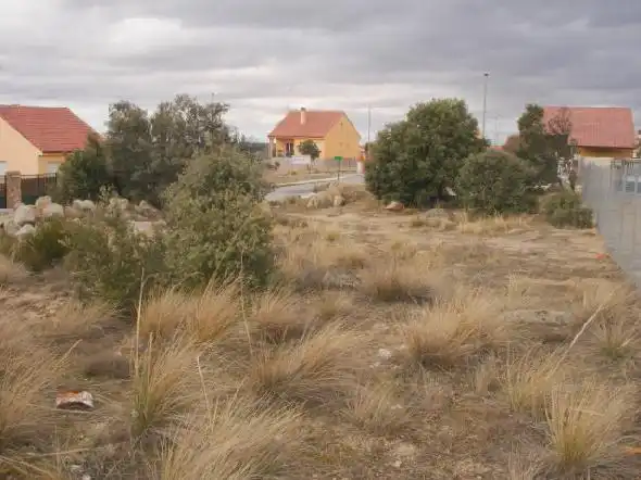 Terreni e lotti in vendita a Zarzuela del Monte, imagen 3