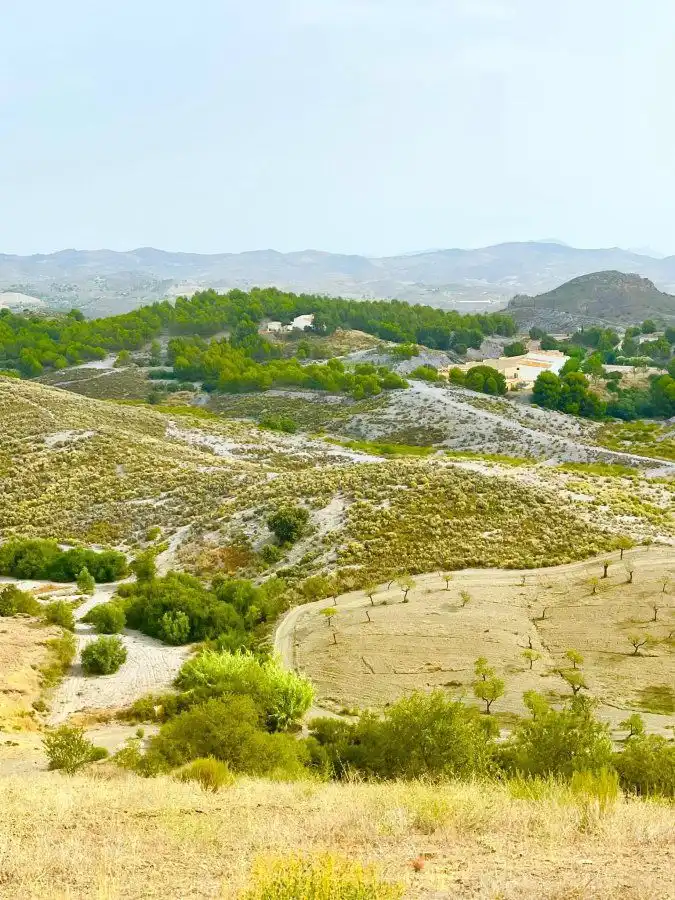 Rural land for sale in Puerto Lumbreras, imagen 16