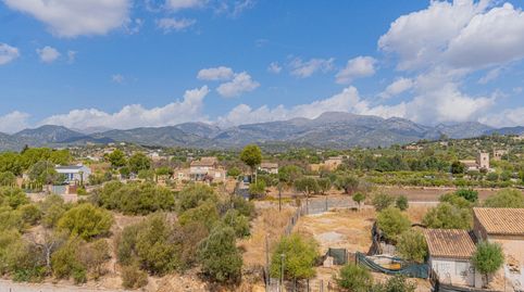 Foto 5 de Pis en venda a Avenida D'alcudia, Son Amonda - Reis Catòlics, Inca