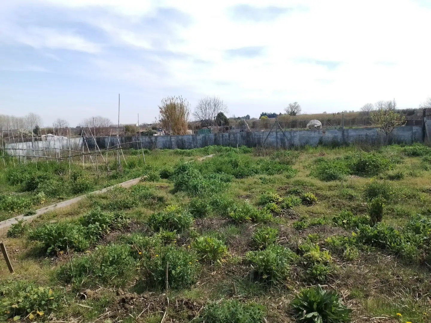 Terreno en venta en Murchante