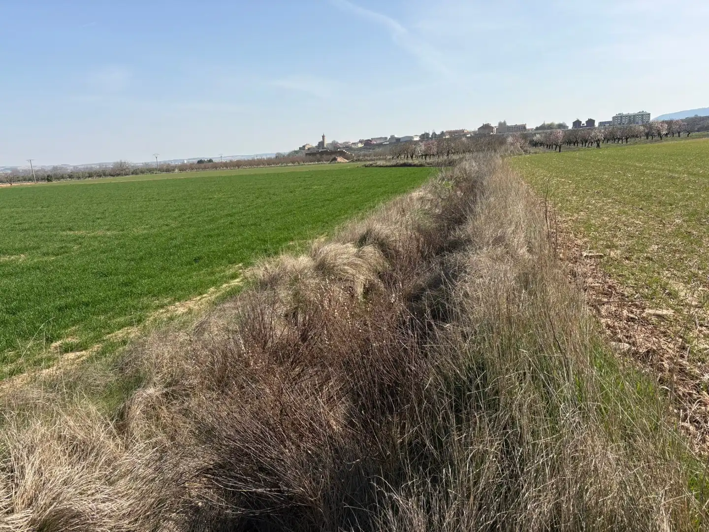 Terreno rustico in vendita a Arrúbal, imagen 6