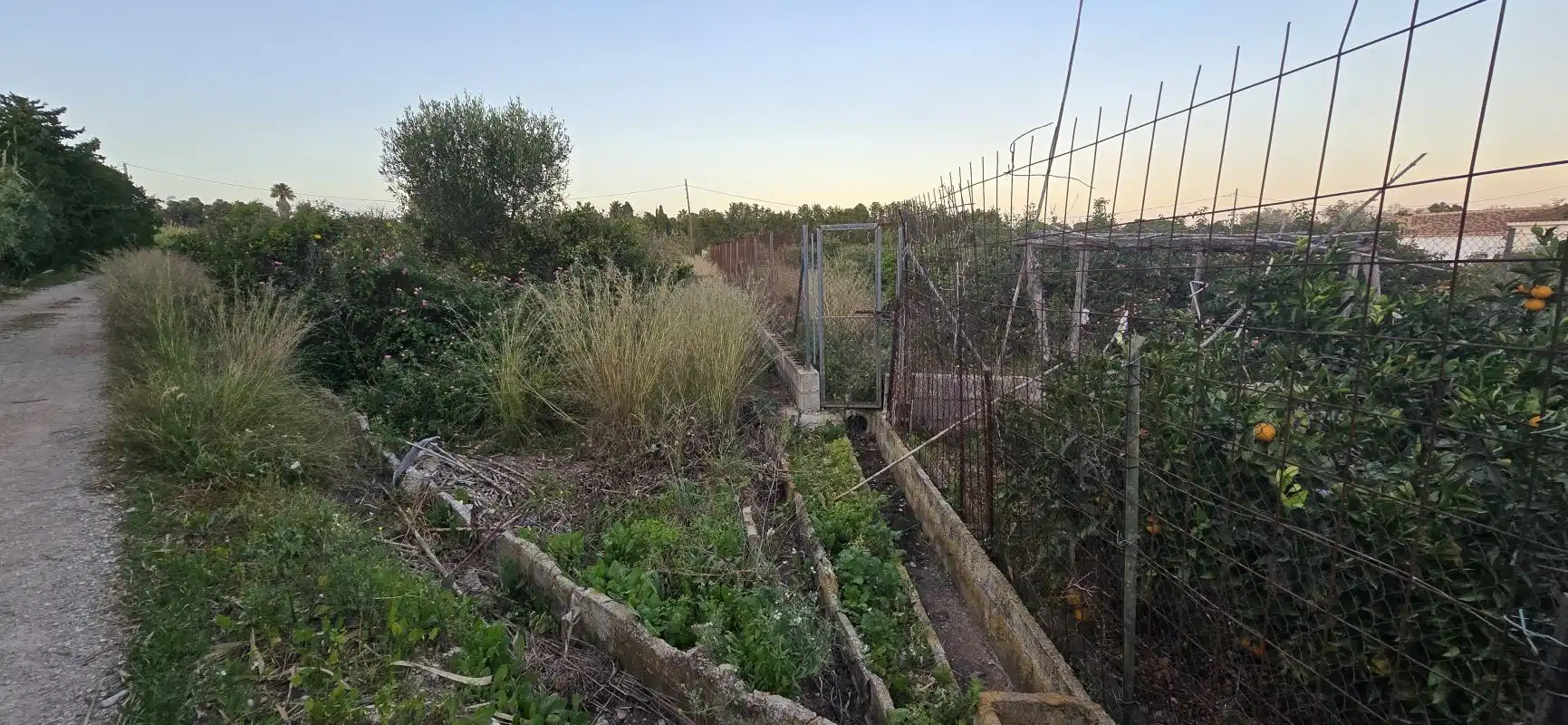 Garten von Grundstücke zum Verkauf in Dénia