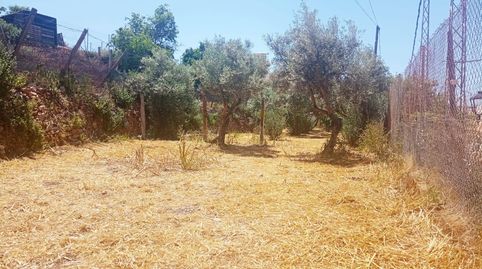 TERRENO URBANO EN EL CENTRO DE CELÍN, immagine 2