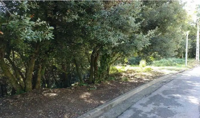 Terrain résidentiel à vendre à del Turó de la Carlina 33, imagen 3
