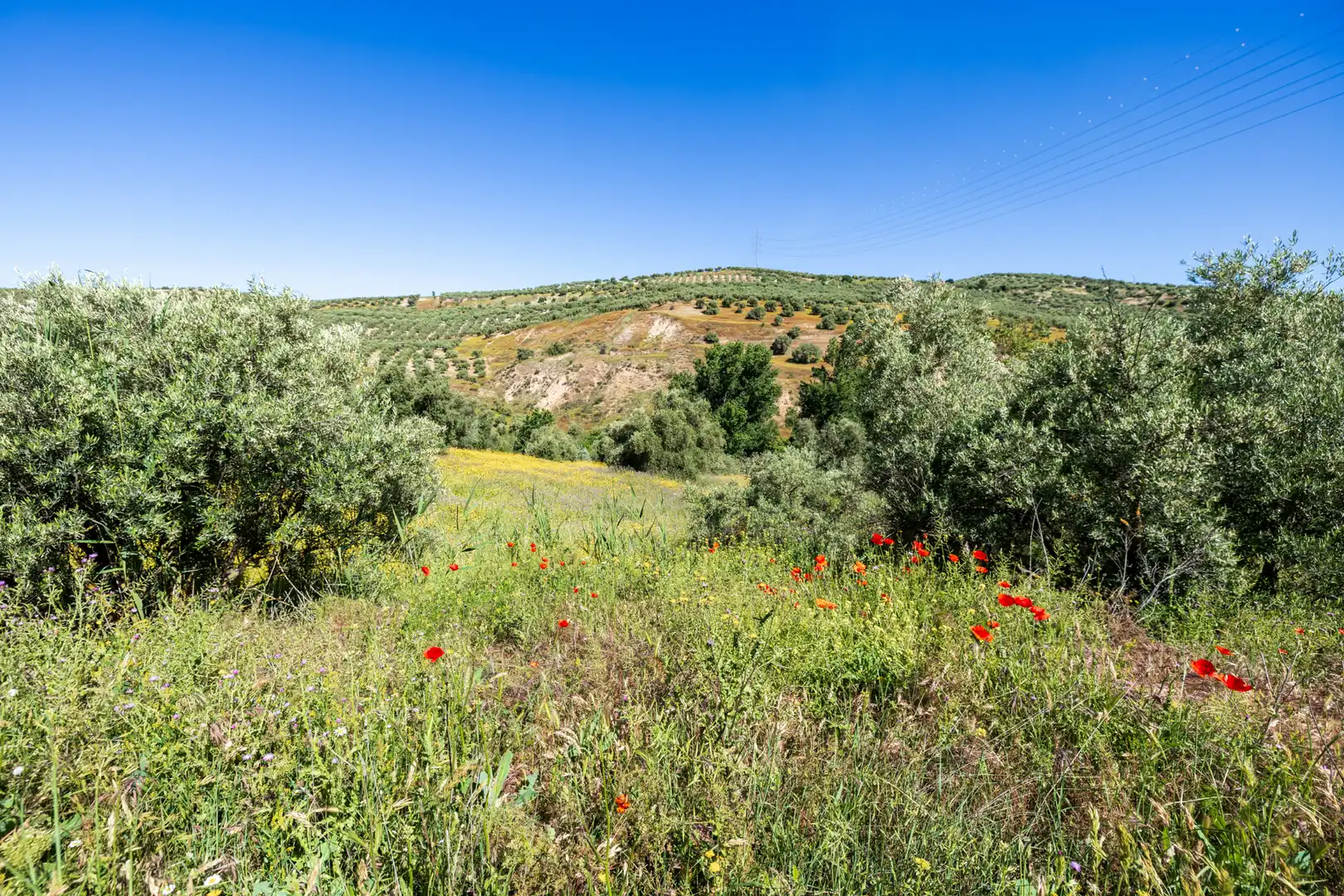 Rustikales Grundstück zum Verkauf in Paraje del molino 2, imagen 10