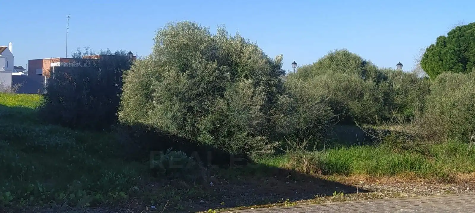 Terreni e lotti in vendita a Martín Miguel, imagen 10