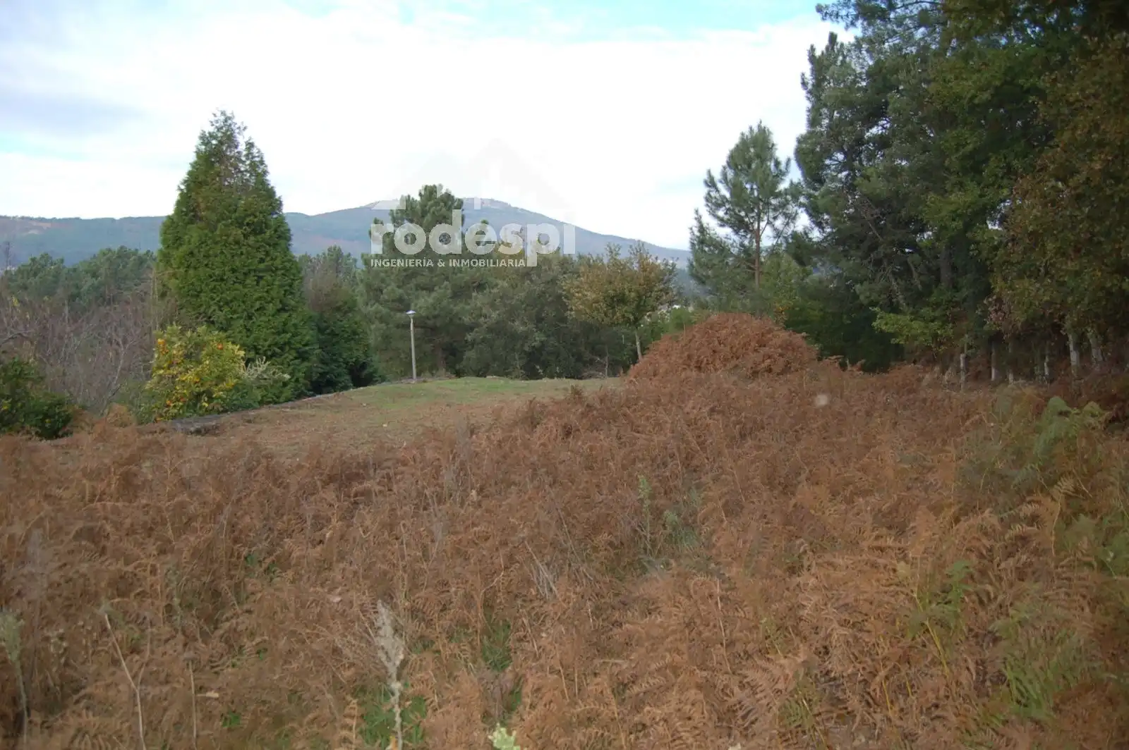 Terrain rustique à vendre à As Neves, imagen 5