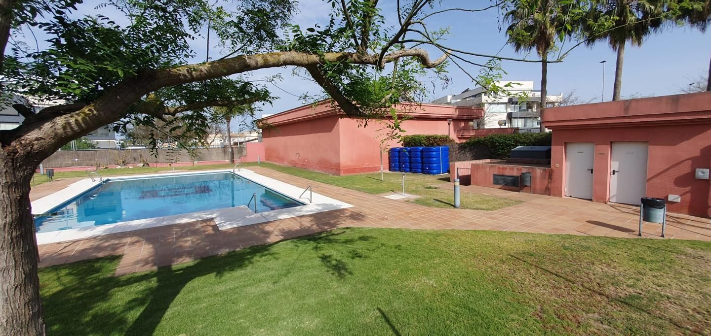 Swimming pool of Flat to rent in Sanlúcar de Barrameda