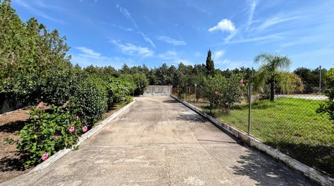 Foto 3 de Finca rústica en venta en La Xara - La Sella, Dénia