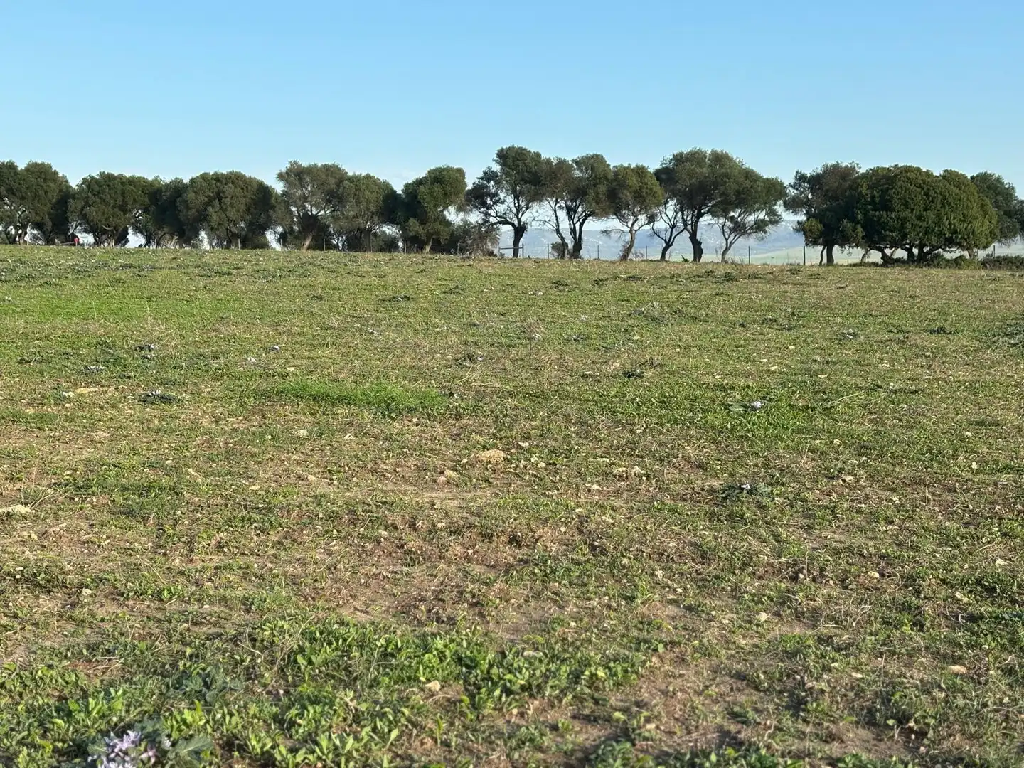 Terreni e lotti in vendita a Vejer, imagen 31